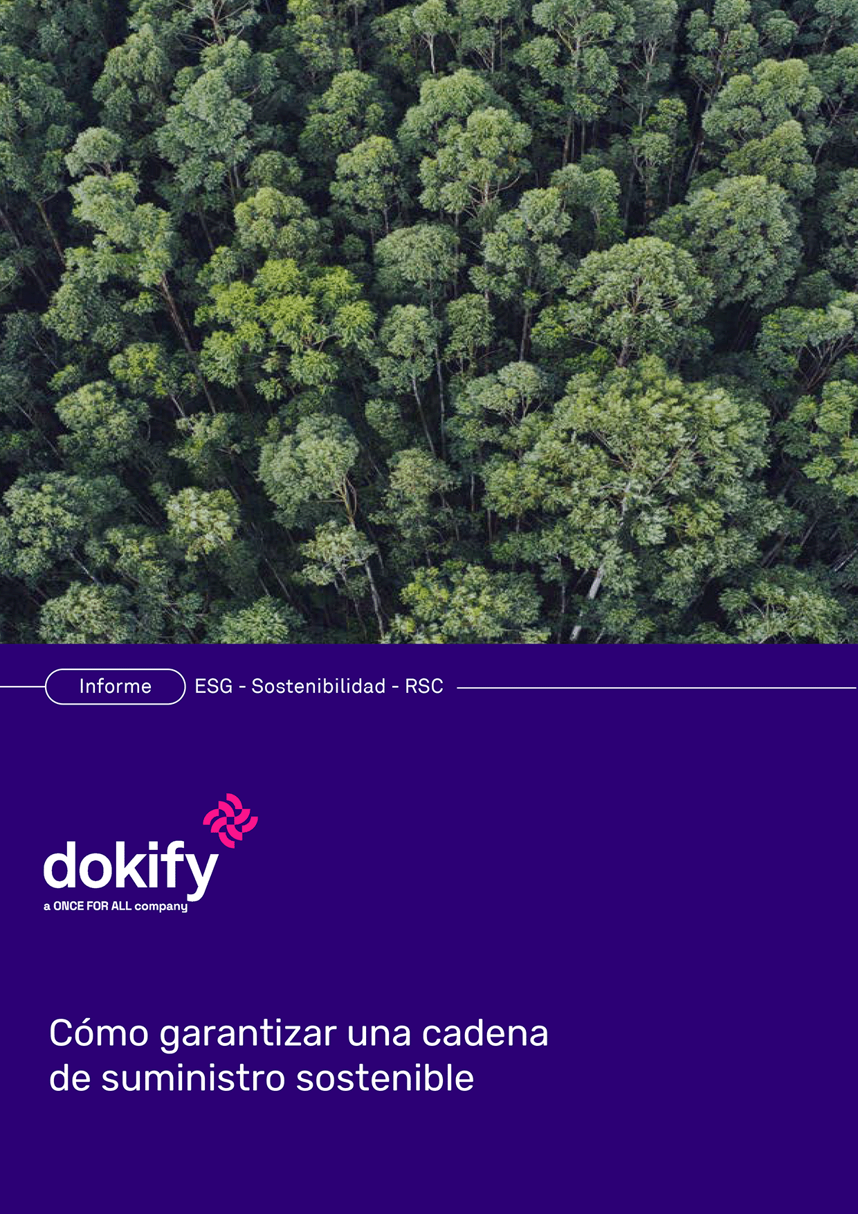 PORTADA WP ofa -Cómo garantizar una cadena de suministro sostenible Cómo garantizar una cadena de suministro sostenible