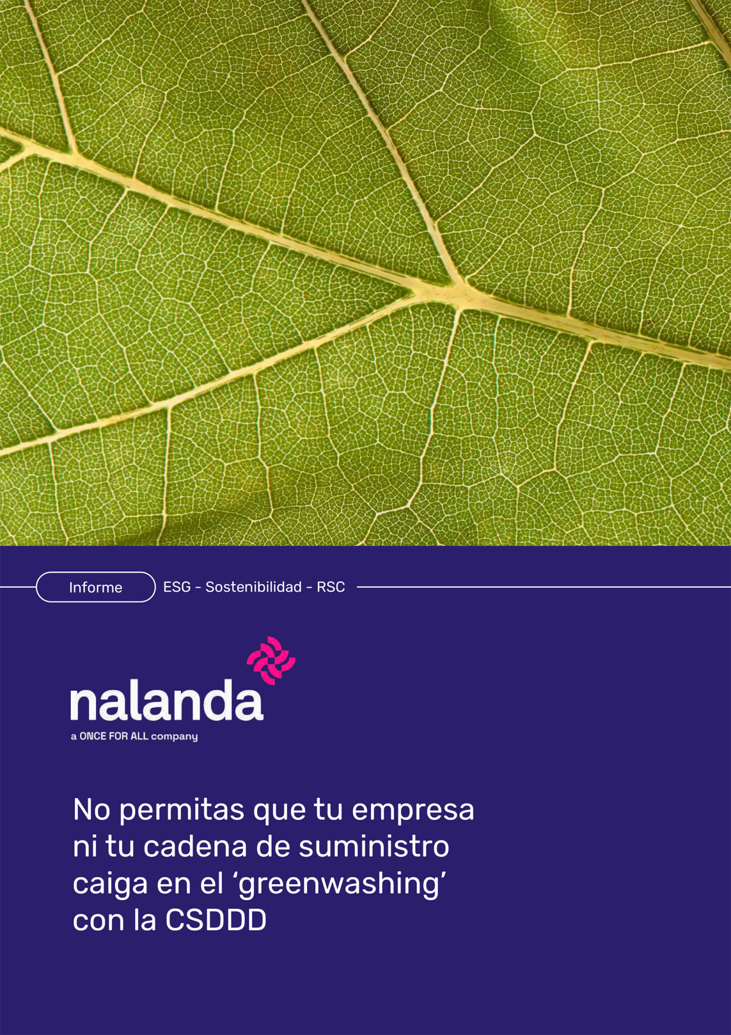 PORTADA WP_No permitas que tu empresa ni tu cadena de suministro caiga en el greenwashing_CSDDD No permitas que tu empresa ni tu cadena de suministro caiga en el "greenwashing" con la CSDDD